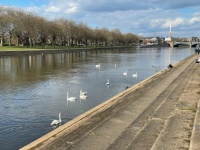 By the Trent in Spring