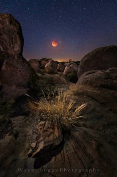 Super Blue Blood Moon Southern New Mexico