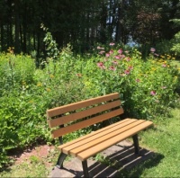 Quiet spot to sit by the Butterfly Garden.