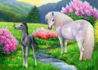 Mare and foal spring