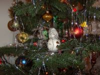 2006 - Christmas tree