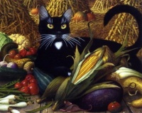 Black Cat  -  Charles Wysocki