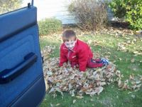 Now For The Fun Part.----Dominic