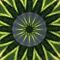 Kaleido