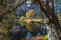 Fall in Yosemite