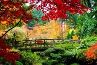 Autumnul Bliss!