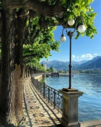 Riva Antonio Caccia, Lugano