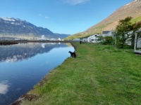 Seyðisfjörður, Iceland. Ferry place to Hirtshals, DK.