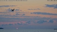 Sunrise, Baltimore,  2025-08-02