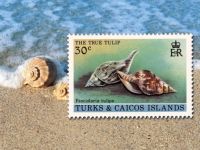 British Commemorative Stamps - Turks & Caicos Islands