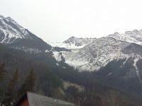rockies