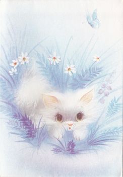 Postcard & envelope pictures 011 - Kitten in blue grass