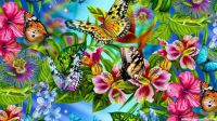 Butterflies & Blossoms