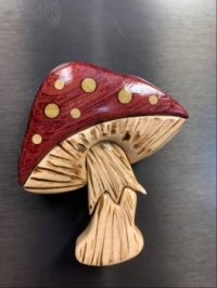 Mushroom magnet