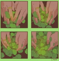 Green Dream