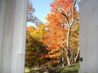 Fall View from the Outhouse