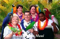 Maui birds