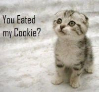 You eated my cookie?
