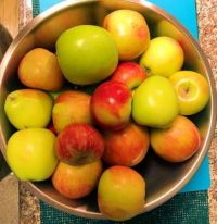 bowl of apples