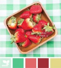 Strawberry Picnic Color Palette