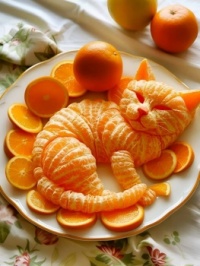 Orange Cat from Cat Lovers FB