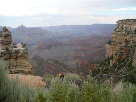 Grand Canyon - 1
