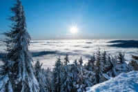 Krkonoše 2