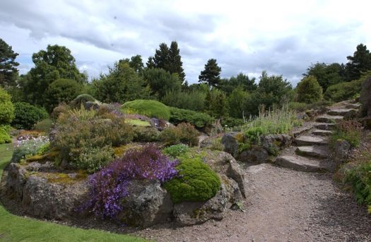 Royal _Botanic _Garden _Edinburgh