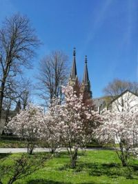 Stiftskirche Admont in Österreich