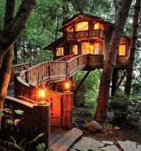 what a treehouse
