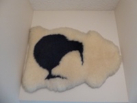 Sheepskin Kiwi
