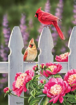 Picket Fence - Cardinals