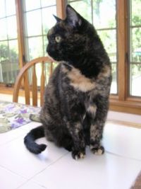 Colleen on her 14th birthday