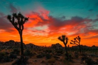 7 Tips For Stunning Desert PhotoGraphy