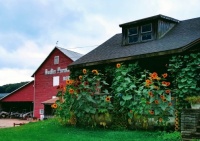 Home with sunflowers