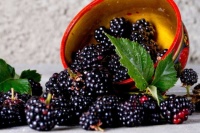 Fresh-Blackberries