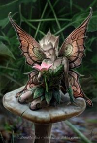 mushroom fairy by anne stokes