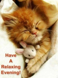 Good Night - Have a Relaxing Evening!