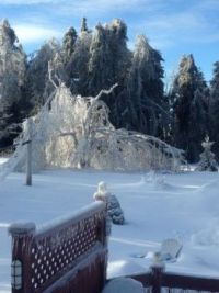 Ice storm January 2017