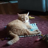 Wally waking up