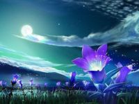 Night Sky