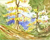 "Forest in Colour" original watercolour painting