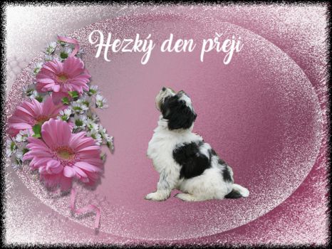 Solve HEZKÝ DEN PŘEJI jigsaw puzzle online with 63 pieces