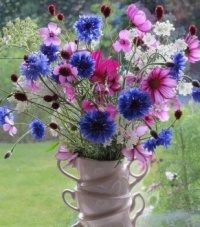 Bloemen
