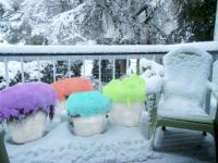 Snow Cone Pots!! :-))