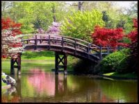 Spring is just around the corner!!!...Happy March 1st to all