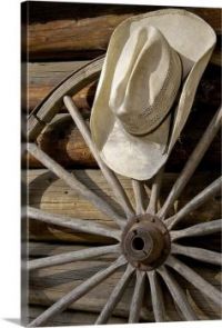 wagon-wheel-and-cowboy-hat-by-log-cabin-california-usa,