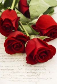 Red-roses