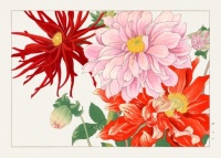 Tanigami Konan - Dahlia Flower from "Seiyou Sokazufu"