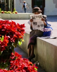 Morning paper Oaxaca